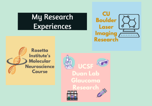 My Research Experiences Picture